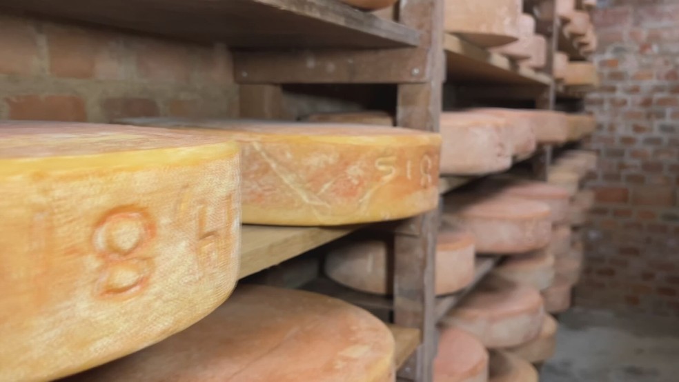 Produção de queijo em Cabreúva (SP), faz parte da Rota do Queijo — Foto: Reprodução/TV TEM