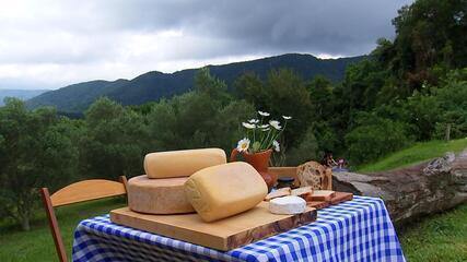 Queijarias artesanais oferecem qualidade e sabores variados na zona rural