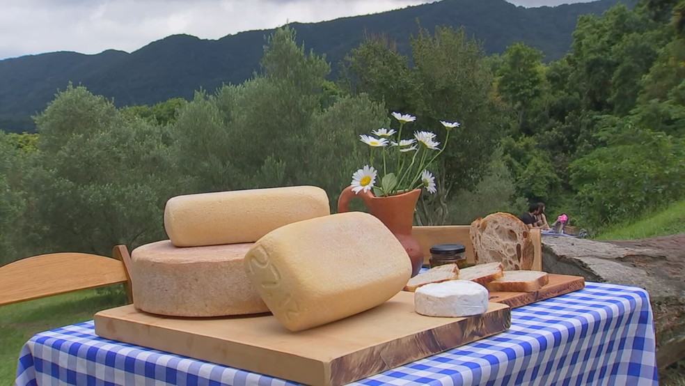 Queijos produzidos na região de Jundiaí (SP) ganham destaques nacionais e internacionais — Foto: Reprodução/TV TEM