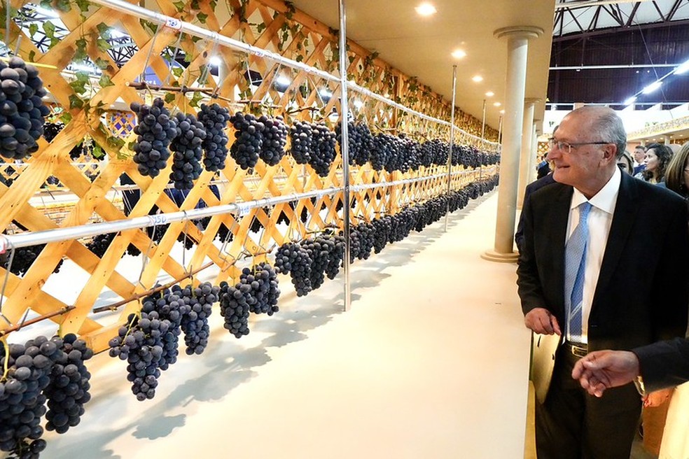 Presidente em exercício Geraldo Alckmin participa de Feira da Uva em Caxias do Sul (RS) — Foto: Cadu Gomes/VPR