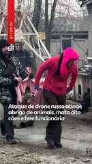 Ataque de drone russo atinge abrigo de animais, mata oito cães e fere funcionária