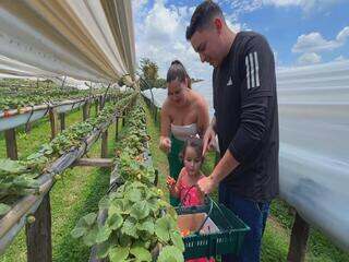 Turismo rural encanta quem é da cidade e gera renda no campo