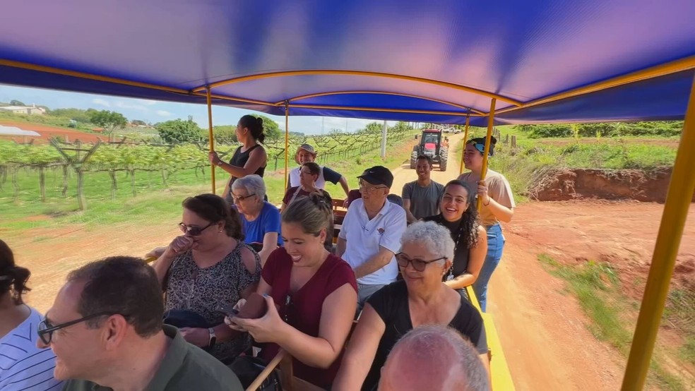 Turismo rural encanta quem é da cidade e gera renda no campo — Foto: TV TEM/Reprodução