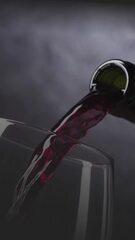 26 vinhos sul-americanos estão entre os melhores do mundo em 2026