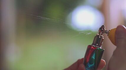 Conhecimento sobre como o olfato funciona é uma conquista recente da ciência