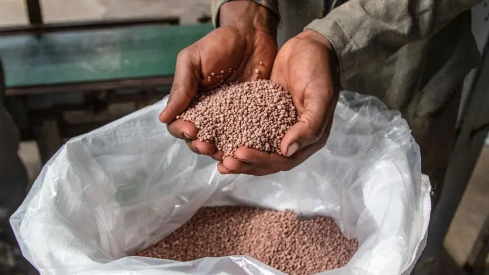 Os fertilizantes nitrogenados são utilizados em culturas que produzem cerca de metade dos alimentos disponíveis no mundo — Foto: Getty Images via BBC