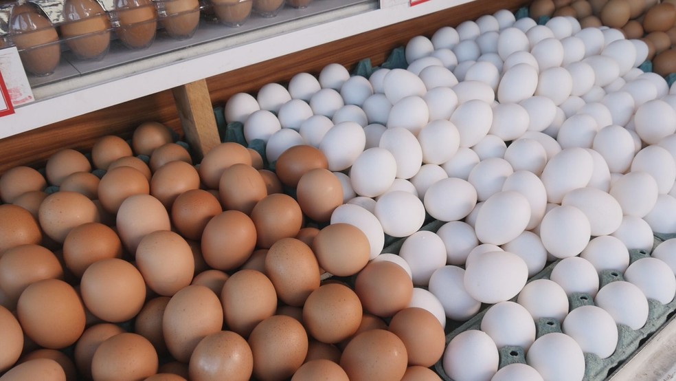 Como melhorar a produção de ovos e frango caipira? Veja dicas — Foto: Reprodução/RPC