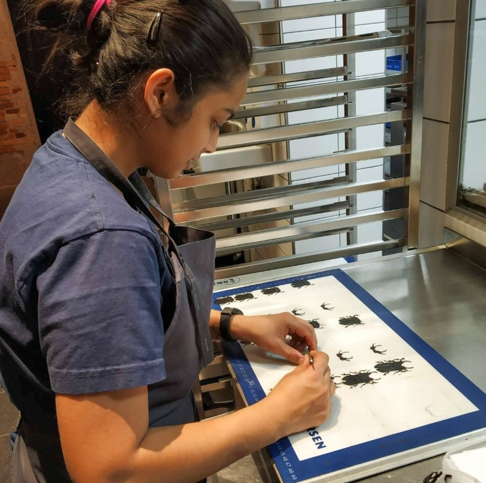 Namrata Hegde na cozinha do Noma — Foto: Reprodução/LinkedIn