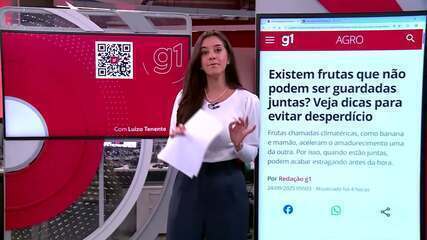 g1 em 1 Minuto: Saiba quais frutas não devem ser guardadas juntas