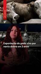 Exportação de gado vivo por navio dobra em 3 anos