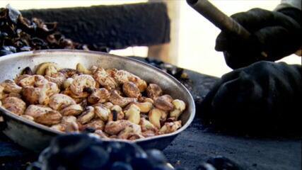 Conheça os desafios da produção artesanal da castanha de caju