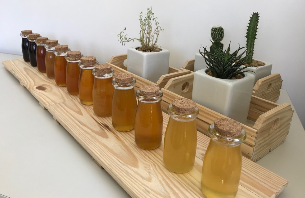 Mel de diferentes espécies de abelhas e de diferentes floradas — Foto: Cristiano Menezes