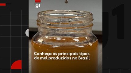 Conheça os principais tipos de mel produzidos no Brasil