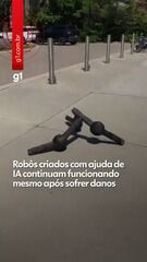 'Metamáquinas': robôs criados com ajuda de IA continuam funcionando mesmo após sofrer dano