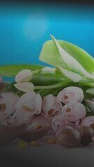 Páscoa 2026: compare o preço dos ovos com os do ano passado