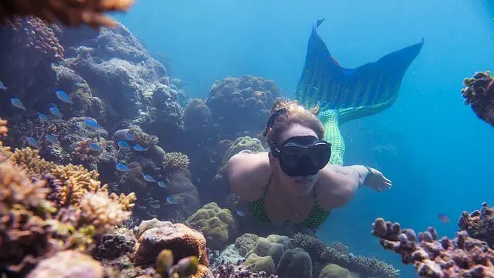 As ilhas Maldivas oferecem águas mornas e uma incrível vida marinha para as sereias — Foto: Six Senses Maldives
