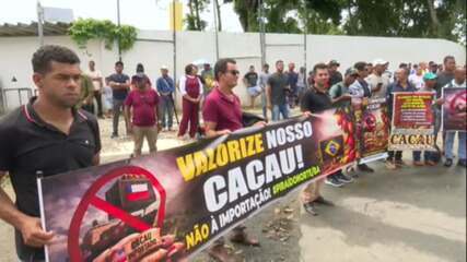 Produtores de cacau protestam contra baixos preços na BA