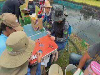 Produção de tilápia cresce no interior paulista com investimento em tecnologia