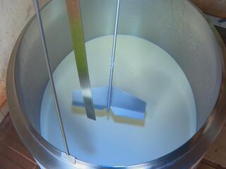 Produtores de leite enfrentam queda no preço e aumento de custos no interior de SP