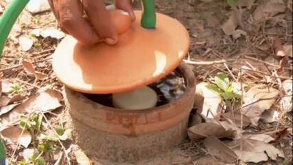 Sistema de irrigação permite produzir alimentos o ano todo