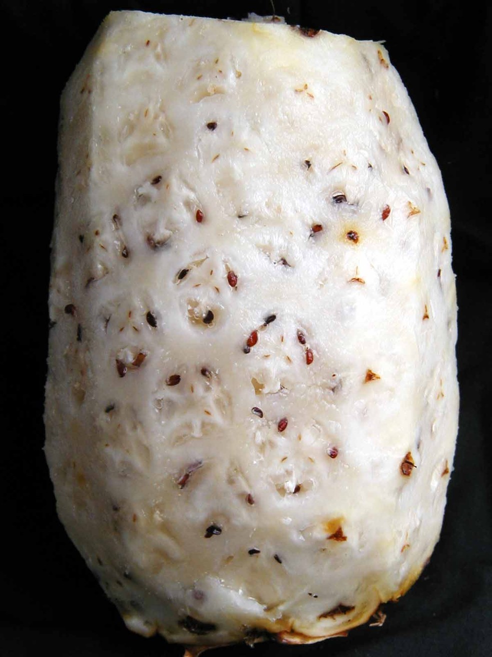 Abacaxi com sementes — Foto: Divulgação / Embrapa