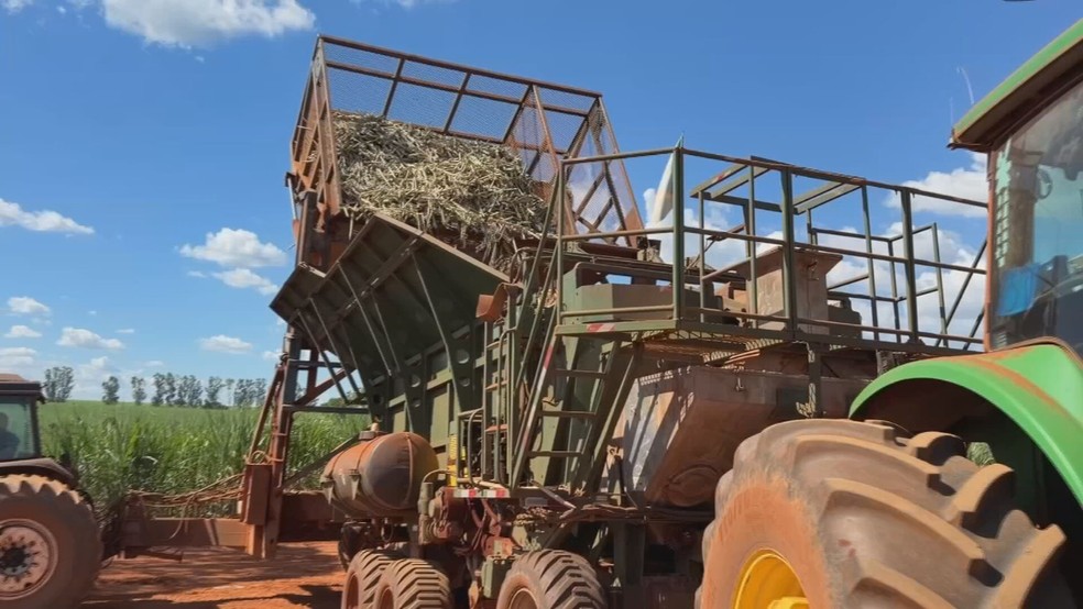 Guerra no Médio Oriente causa impacto no preço do diesel; podendo afetar a colheita da cana no interior de SP — Foto: Reprodução/TV TEM