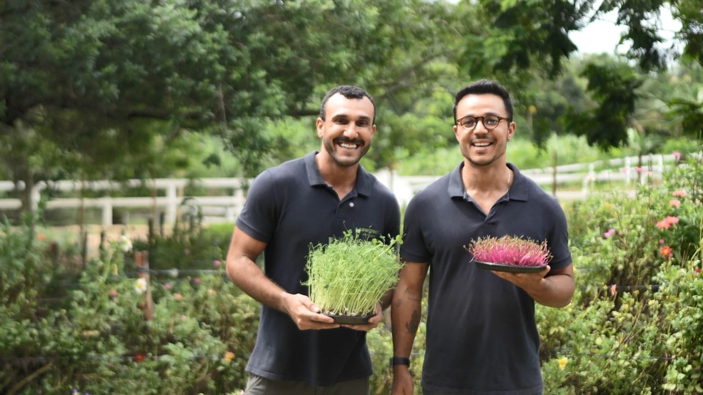 Giliard e Jardel investem na produção de PANCs, microverdes e flores comestíveis no Espírito Santo — Foto: Samy Ferreira/ TV Gazeta