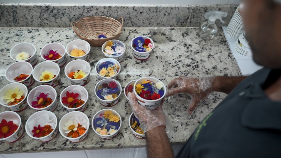 Flores comestíveis sendo produzidas no Espírito Santo — Foto: Samy Ferreira/ TV Gazeta