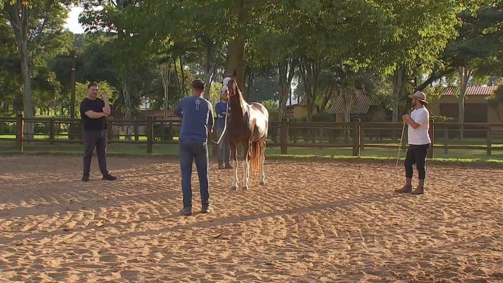 Expo Agro de Itapetininga une tradição e movimenta milhões — Foto: Reprodução/TV TEM