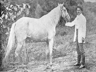 Expo Agro de Itapetininga: a tradição que une gerações e movimenta milhões