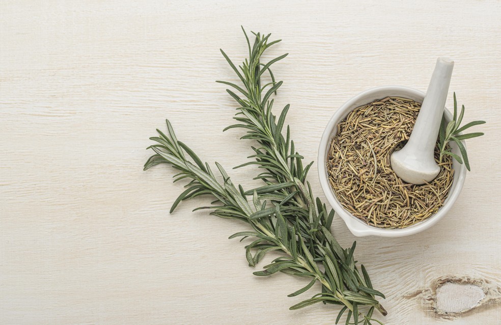 Alecrim — Foto: Freepik