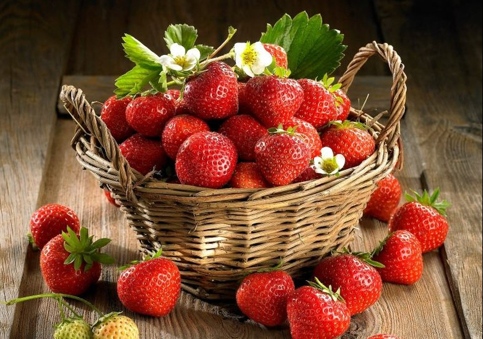 Truskawka Kaszubska, morango tradicional da Polônia — Foto: Reprodução/Truskawka Kaszubska