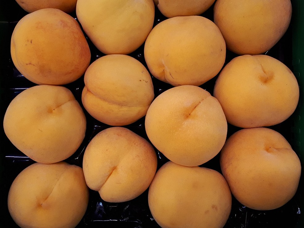 Melocotón de Calanda — Foto: Fructibus/Wikimedia Commons