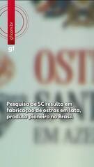 Pesquisa de SC resulta em produção pioneira no Brasil de ostras em lata